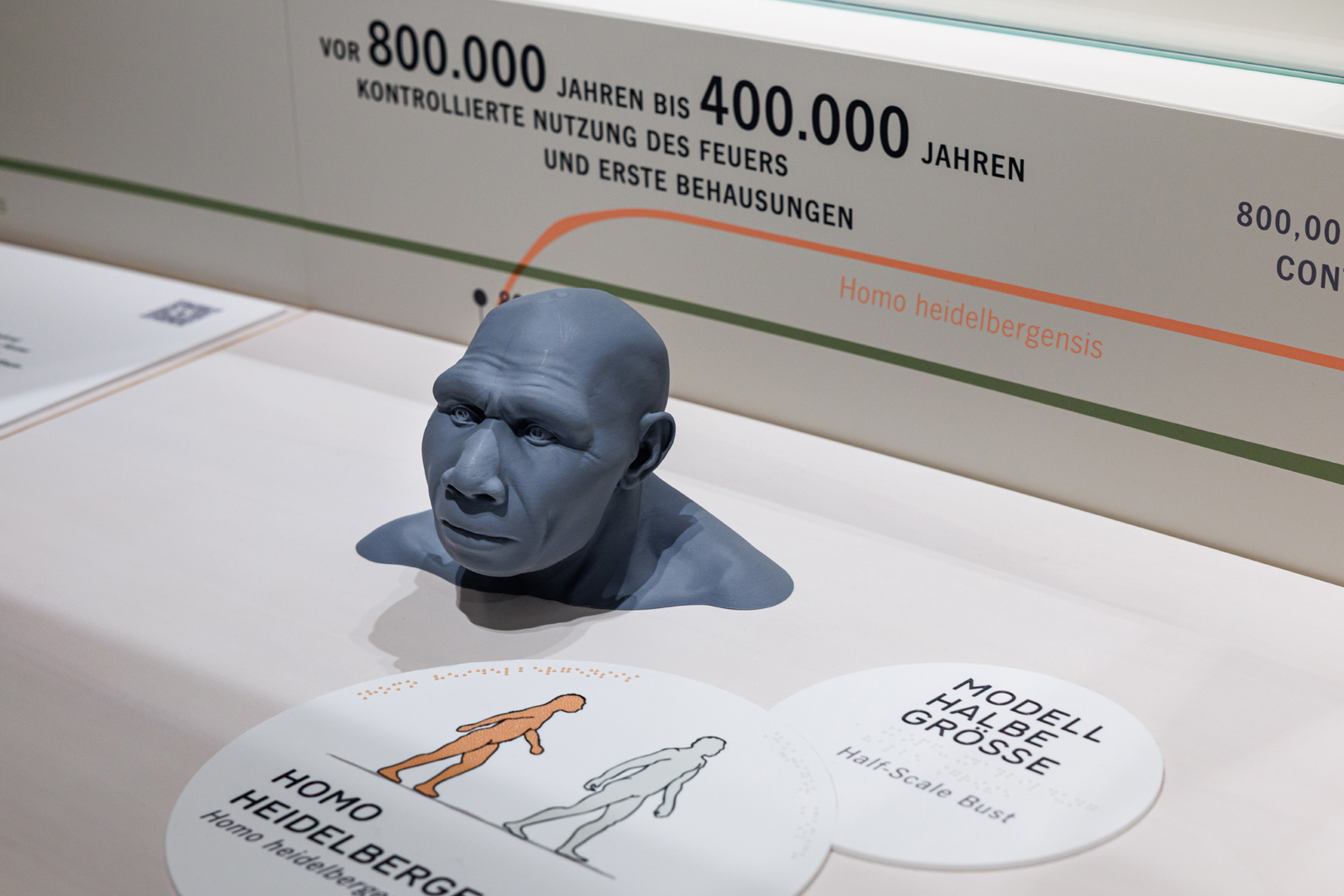 Ausstellung Evolution des Menschen im Staatlichen Museum für Naturkunde Karlsruhe