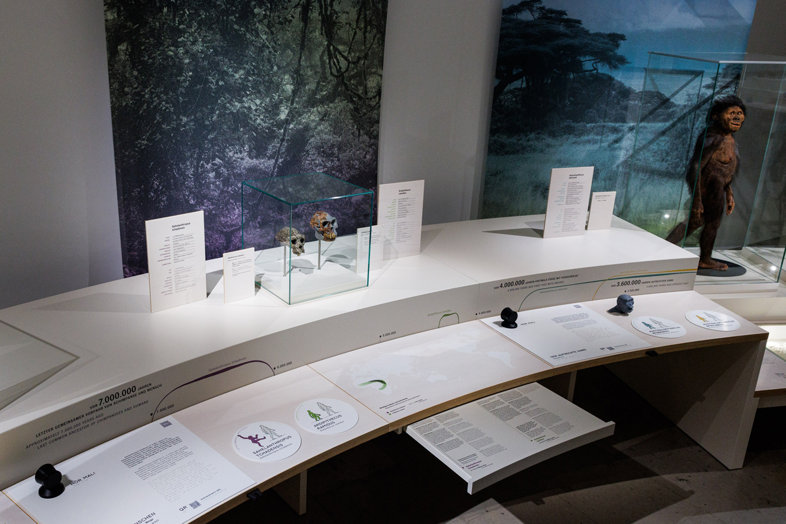 Ausstellung Evolution des Menschen im Staatlichen Museum für Naturkunde Karlsruhe