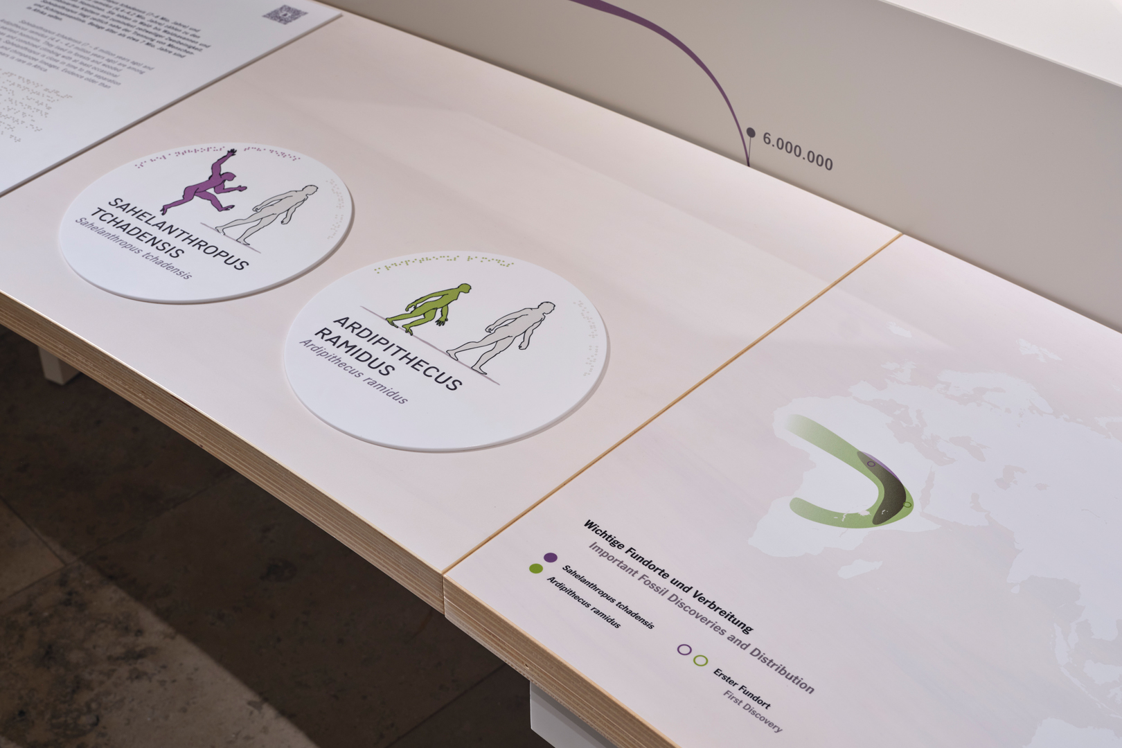Ausstellung Evolution des Menschen im Staatlichen Museum für Naturkunde Karlsruhe