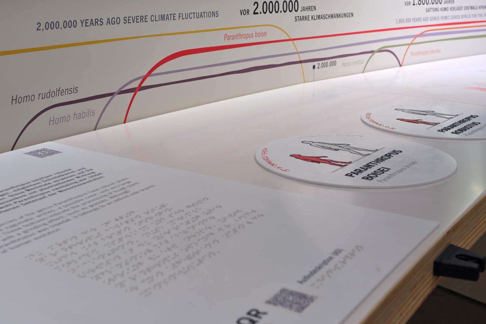 Ausstellung Evolution des Menschen im Staatlichen Museum für Naturkunde Karlsruhe
