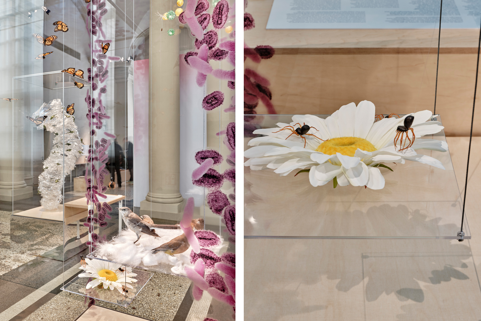 Wolken. Erleben und Verstehen Ausstellung