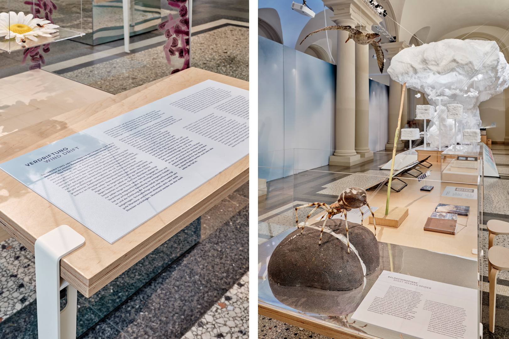 Wolken. Erleben und Verstehen Ausstellung