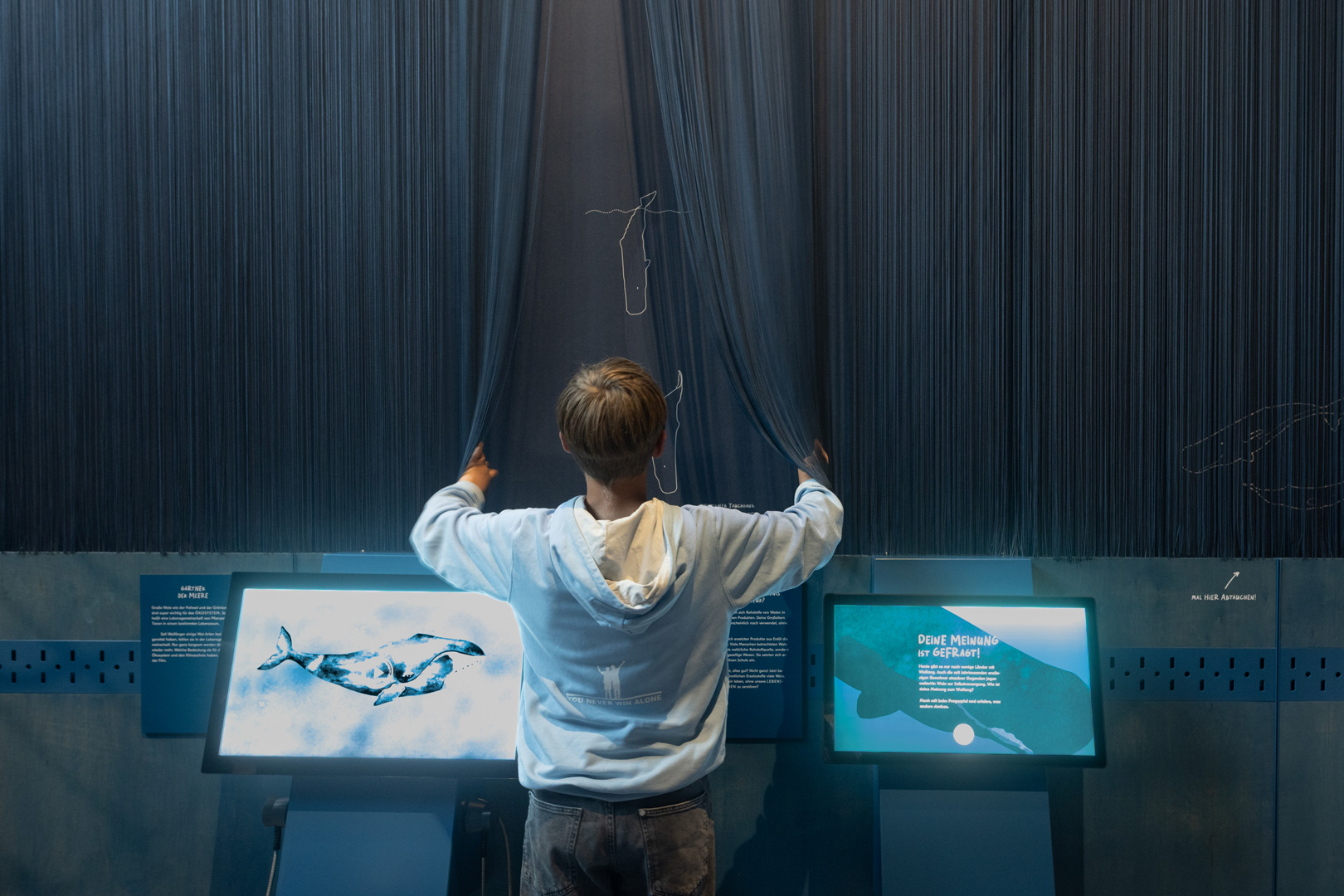 Ausstellung Die Welt der Wale im Hessischen Landesmuseum