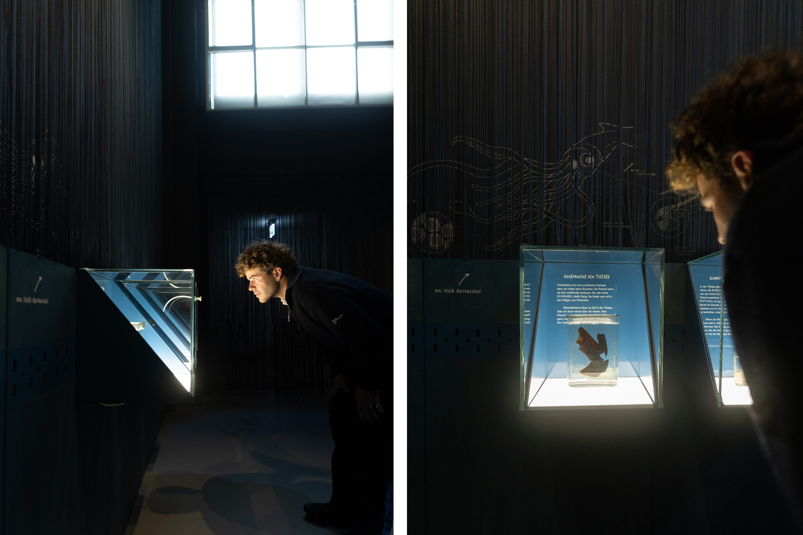 Ausstellung Die Welt der Wale im Hessischen Landesmuseum